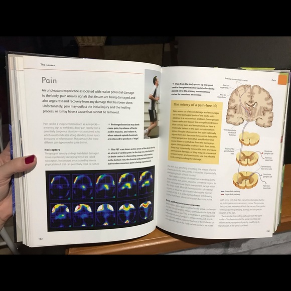 Medical Book/textbook - Picture 1 of 3